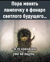 80eb8d51-3885-4389-acf6-3d2af3234e29.webp
