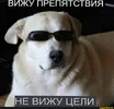 93914010678a9ef91f0d287f349d3e07bb7213efa6c7dd6c317a85e16cffd069_1.webp
