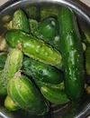 IMG-20250905-WA0056_1.webp