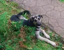 _20250912_172735.webp