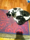 IMG_20250828_222230.webp