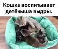 c9cdc78d51e976ced246c70f543e22fe48d7e1aa9d0733f3285dfcfae49286ec_3.webp