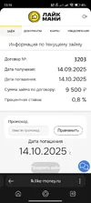 Screenshot_2025-09-14-13-16-02-805_com.yandex.searchapp.webp