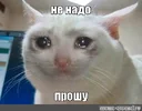 be333c8b2e9cda07e887bc092b886571.webp