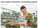 1621665365162577781.webp