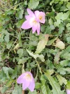 IMG_20250916_153123_632.webp