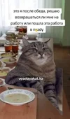Screenshot_20250917_144026_Google.webp