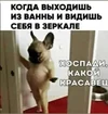 Screenshot_20250917-163257_1.webp