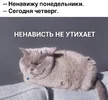 1663224533119553553.webp