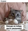 utro-dobrym-ne_28930.webp