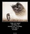 funny-klev-club-p-smeshnie-kartinki-yezhik-v-tumane-7.webp