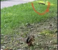 F7664559-12AA-4870-9F73-3A8651ABD21C.webp