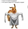 images.webp