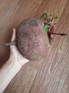 IMG-20250920-WA0005.webp