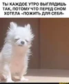 68d9dbc3f795711475ee69860fe20355e7a0f7441c8bf5372b08d2e6c6816e54_1.webp
