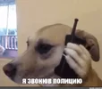 de0e4ba75a6e438789fd56d0e986ac26.webp