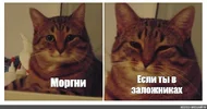 6622ff1555236207e0b29a20f1477bf9.webp