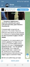 Screenshot_20250927-233316.webp