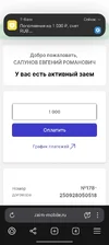 Screenshot_20250928_110527_com_yandex_browser_YandexBrowserMainActivity.webp