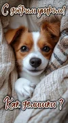 IMG-20250928-WA0004.webp