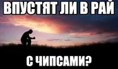 0fbf58f8612460fe5766e753ee01d2ae.webp