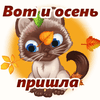 229480714.gif