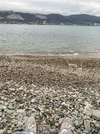 camphoto_1254324197.webp