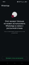 9449.webp