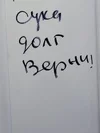 c5eda0e1-6df0-442b-ad13-539c41e5d9df.webp