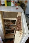 Скриншот 09-10-2025 121241.webp
