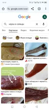 Screenshot_20251009-191054.webp