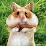 Pandanr