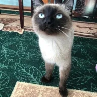 Наталья Владимировна