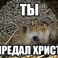 6a6ka v kedax