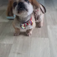 2wohka