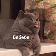 КсюКсю