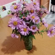 Омела
