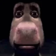 Slicey
