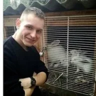 Александр Николаев