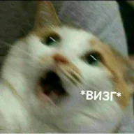 cat.arsis