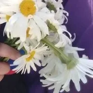 Надюшка