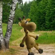 Дмытро