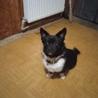 Костя96