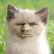 Жмышенко