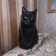 Машуля