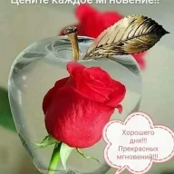 Елена 36