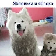Alex0507