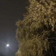 маргарита1