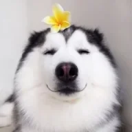 Михаил М..Ф.