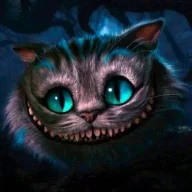 fabulous cat